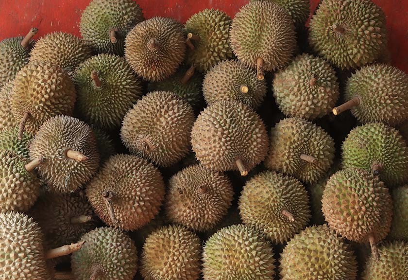 Ilustrasi - Ekspor durian. (Unplash)