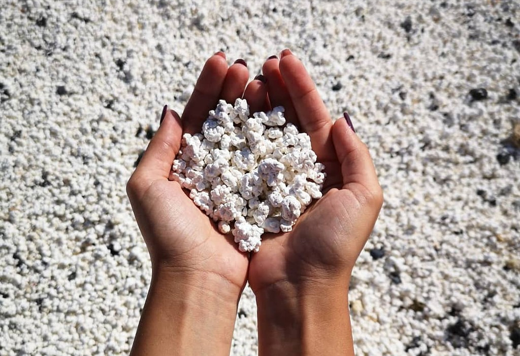 Di Spanyol ada pantai bernama Playa del Najo de la bura atau Popcorn Beach yang memiliki pasir putih menyerupai popcorn.

(Instagram)