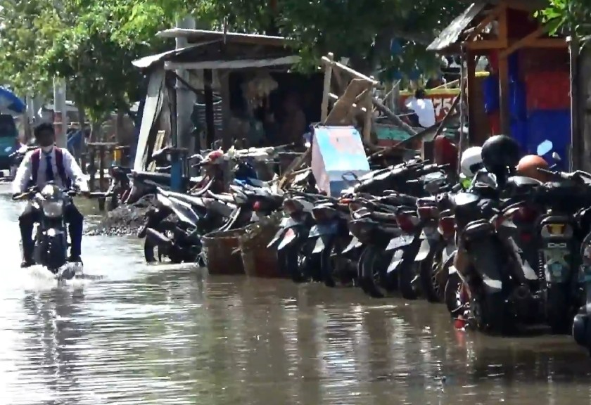 Banjir rob di Jatim rugikan para petambak dan usaha ikan. (Sariagri/Arief L)