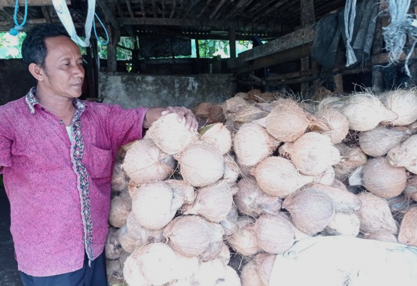 Pedagang kelapa kewalahan layani permintaan konsumen. (Antara)