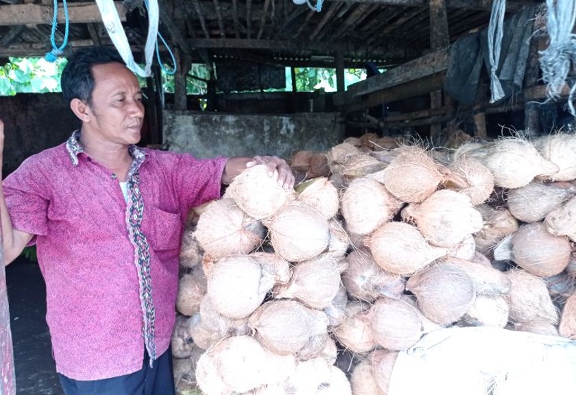 Pedagang pengumpul kelapa di Jalan Lingkar Selatan Rangkasbitung Kabupaten Lebak, Banten. (Antara/Mansur)