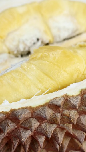 Ilustrasi durian musang king. (Wikipedia)