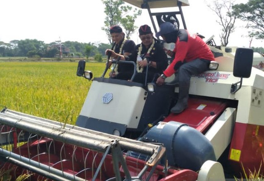 Menteri Pertanian Syahrul Yasin Limpo (tengah) saat melakukan panen padi IP400 di Sukoharjo, Jawa Tengah. (Antara)