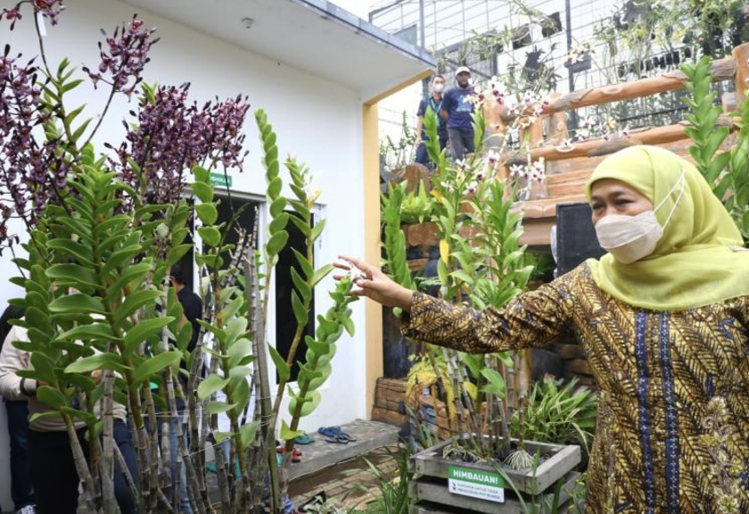 Gubernur Jawa Timur Khofifah Indar Parawansa dorong pembudidayaan bunga anggrek. (Antara)
