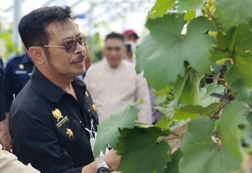 Menteri Pertanian (Mentan) Syahrul Yasin Limpo, saat berkunjung melihat budidaya anggur yang dikembnagkan oleh Balai Penyuluhan dan Pengembangan Sumber Daya Manusia Pertanian (BPPSDMP) - (Antara Foto)