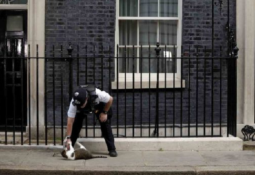 Seorang polisi membelai kucing bernama Larry di depan Kantor yang juga menjadi kediaman resmi Perdana Menteri Inggris di Jalan Downing Nomor 10, London, Inggris, Rabu (6/7/2022).

(ANTARA FOTO/REUTERS/Phil Noble)