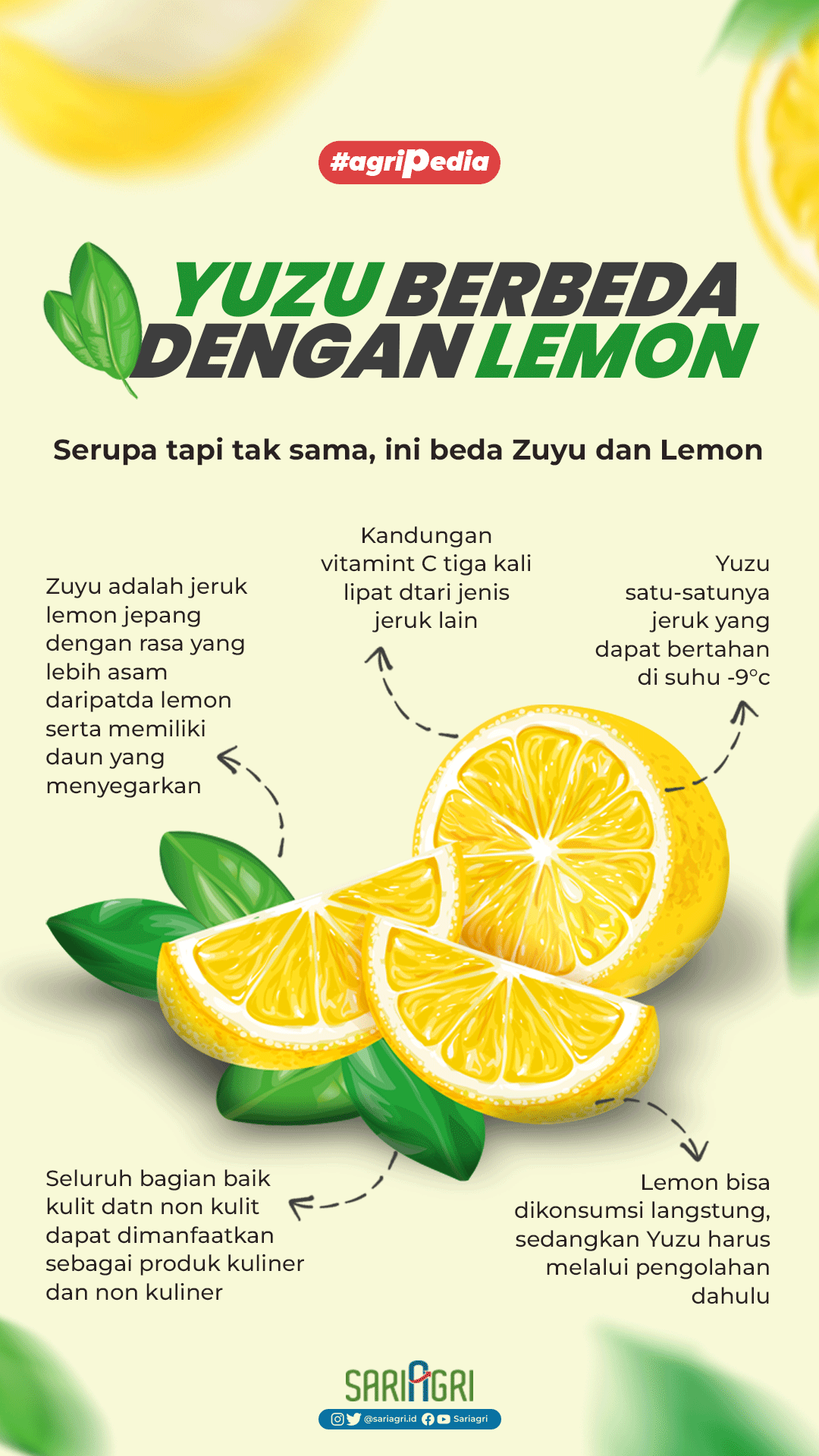 Serupa Tapi Tak Sama, ini Perbedaan Yuzu dan Lemon. (Sariagri/Wahidin)