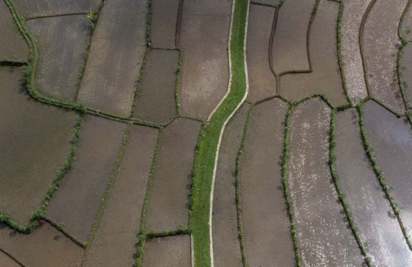 Foto udara kawasan pertanian di Desa Darmaraja, Kabupaten Ciamis, Jawa Barat, Minggu (17/7/2022).

(ANTARA FOTO/Adeng Bustomi)