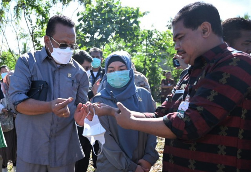 Anggota Komisi IV DPR RI Nur’aeni saat meninjau hama belalang di Kabupaten Sumba Barat Daya, Provinsi Nusa Tenggara Timur. (dpr.go.id/Novel/Man)
 