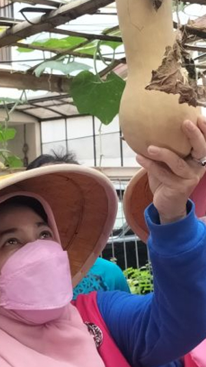 Ibu rumah tangga di Jakarta Barat ikut Kelas berkebun. (Antara)