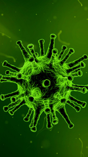 Ilustrasi virus. (pixabay)