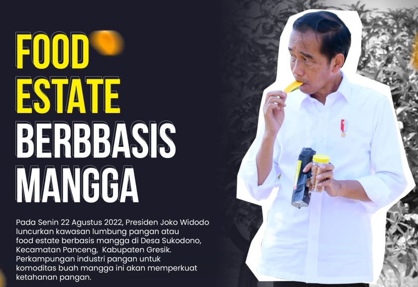 Presiden Jokowi meluncurkan Food Estate berbasis Mangga. (Ilustrasi Faisal Fadly)