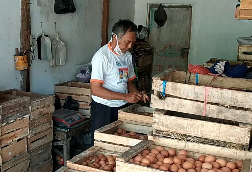 Agen telur ayam di Jawa Timur. (Sariagri/Arief L)