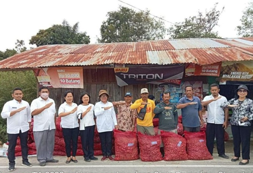 Kelompok Tani di Samosir menerima bantuan bibit bawang merah Batu ijo (Antara/HO)
