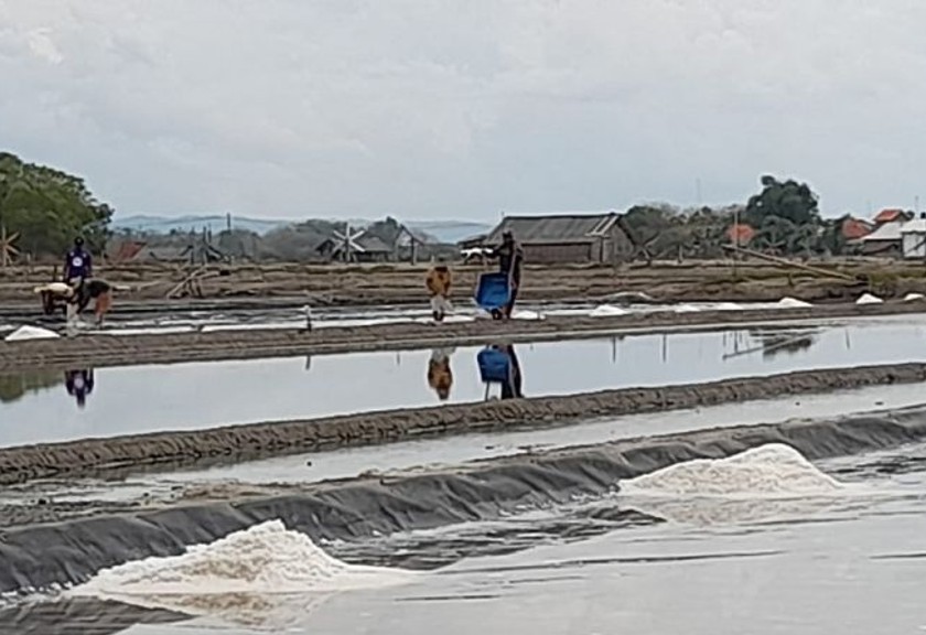 Petambak garam di Desa Lembung, Kecamatan Galis, Pamekasan memproduksi garam dengan teknologi geomembran. Antara/Abd. Aziz.