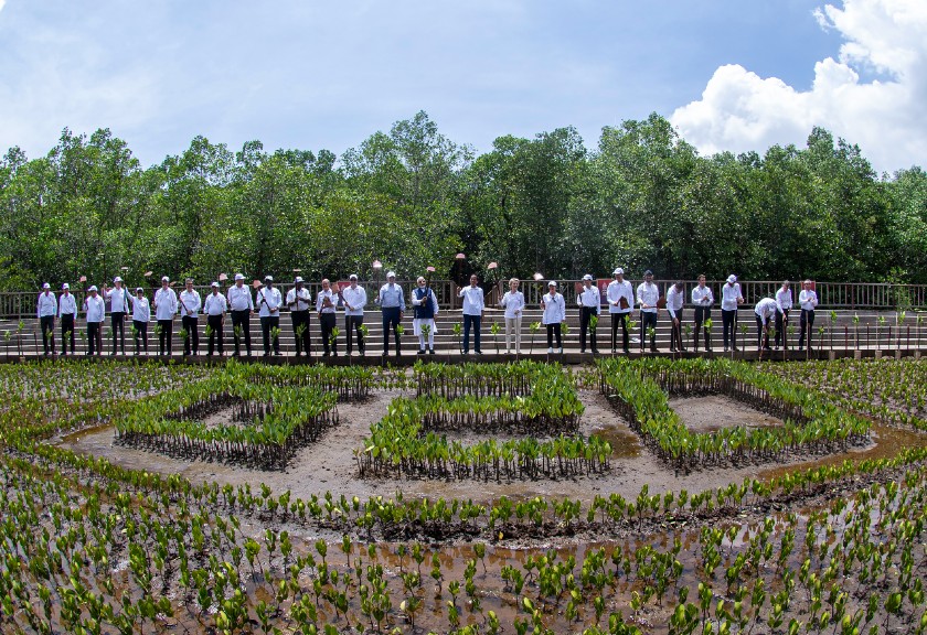 Presiden Joko Widodo bersama para kepala negara/kepala pemerintahan negara anggota G20 dan pimpinan organisasi internasional menanam mangrove saat rangkaian KTT G20 Indonesia di Taman Hutan Raya, Ngurah Rai, Denpasar, Bali, Rabu (16/11/2022). (Foto Medcen G20)
