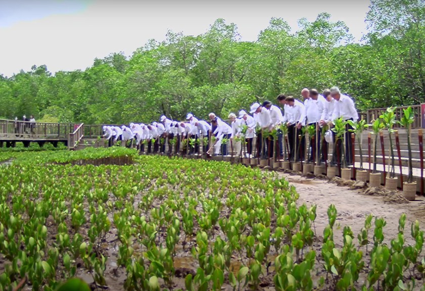 Pemimpin negara G20 tanam bibit mangrove di Bali (Youtube/Sekretariat Presiden)
