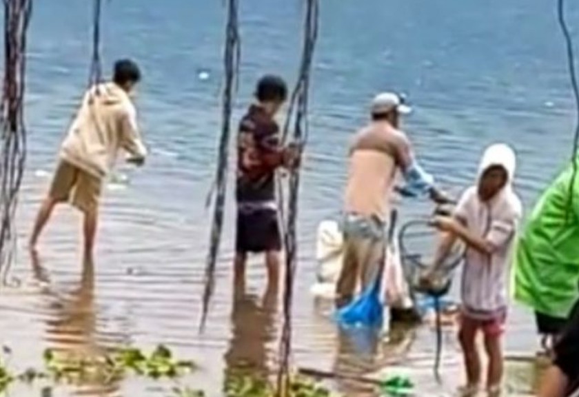 Warga menangkap ikan yang muncul di Danau Maninjau. (ANT)