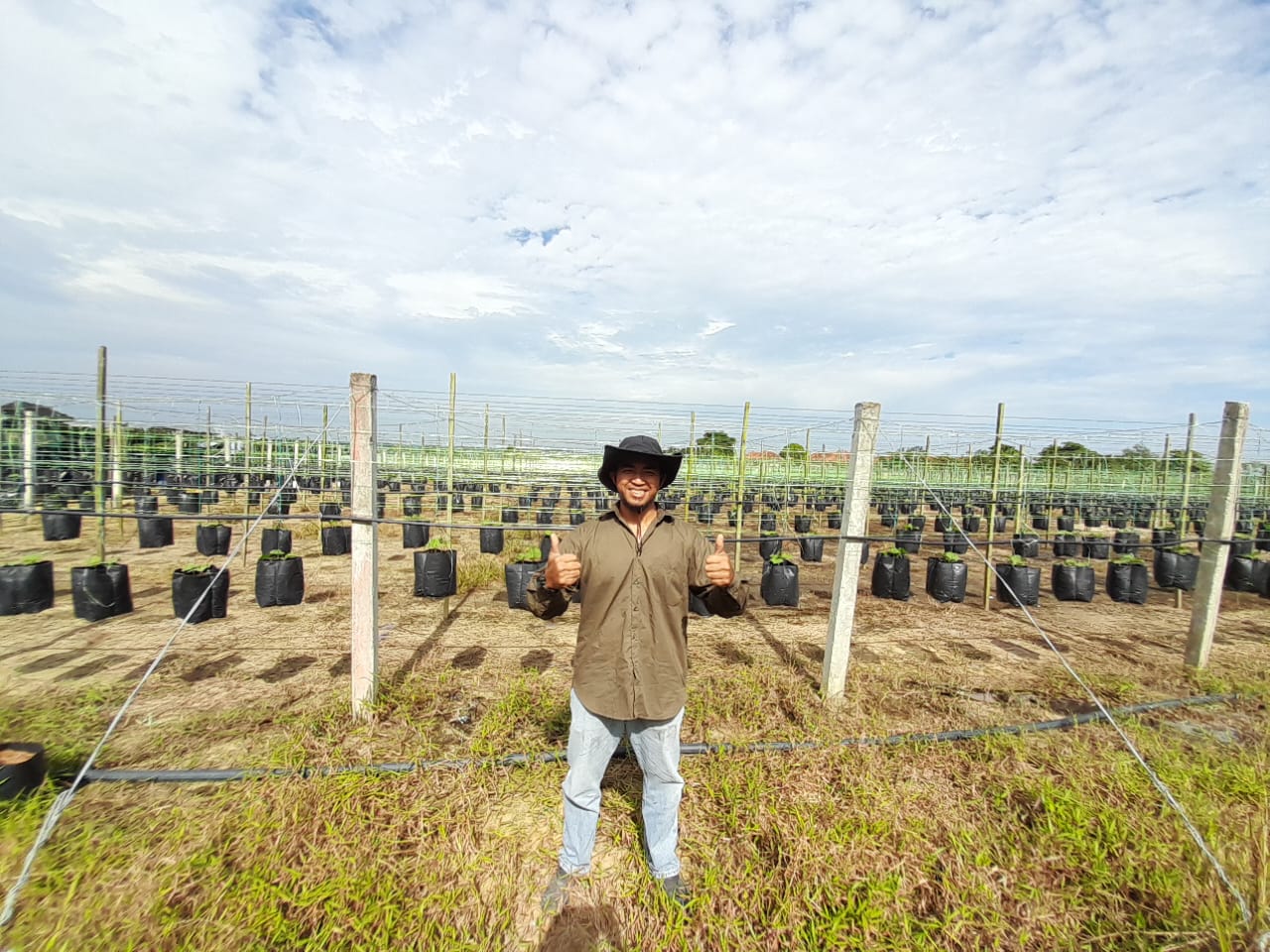 Noresam, petani asal Malaysia raup cuan Rp3,5 juta per hari dari budidaya timun (Istimewa)
