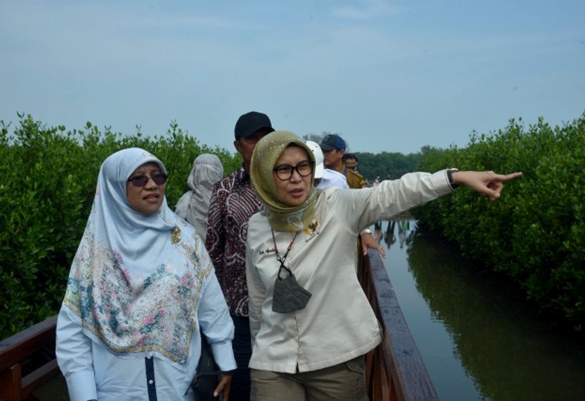 Komisi IV DPR RI melakukan Kunjungan Kerja Spesifik (Kunspik) ke kawasan Taman Mangrove 