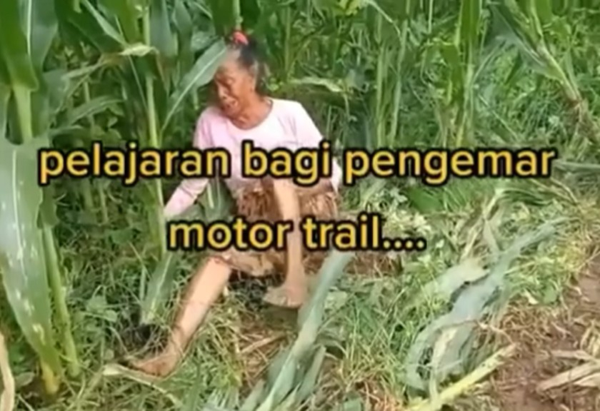 Viral nenek menangis histeris lihat kebun jagungnya rusak dilindas pengendara motor trail (Instagram)