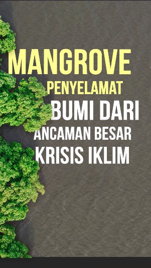 Mangrove, Penyelamat Bumi dari Ancaman Besar Krisis Iklim