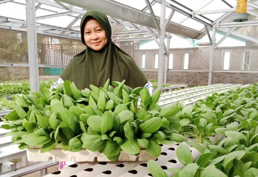 Yunika Sari Putri, petani hidroponik asal Sumatera Selatan (Istimewa)