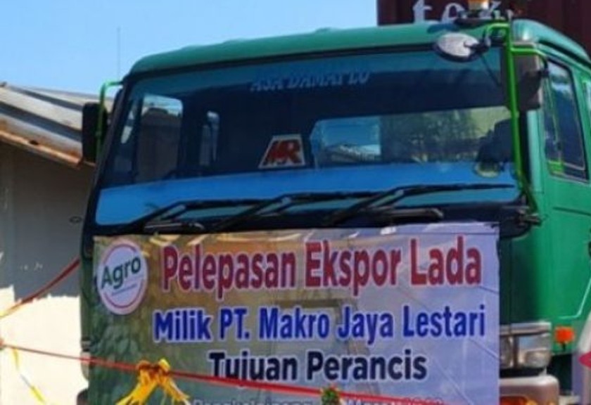 Ilustrasi, Balai Karantina Pertanian (BKP) Kelas II Pangkalpinang menyatakan pengusaha Provinsi Kepulauan Bangka Belitung selama 2022 mengekspor lada putih 1.843 ton ke 14 negara tujuan. (Antara/Aprionis)