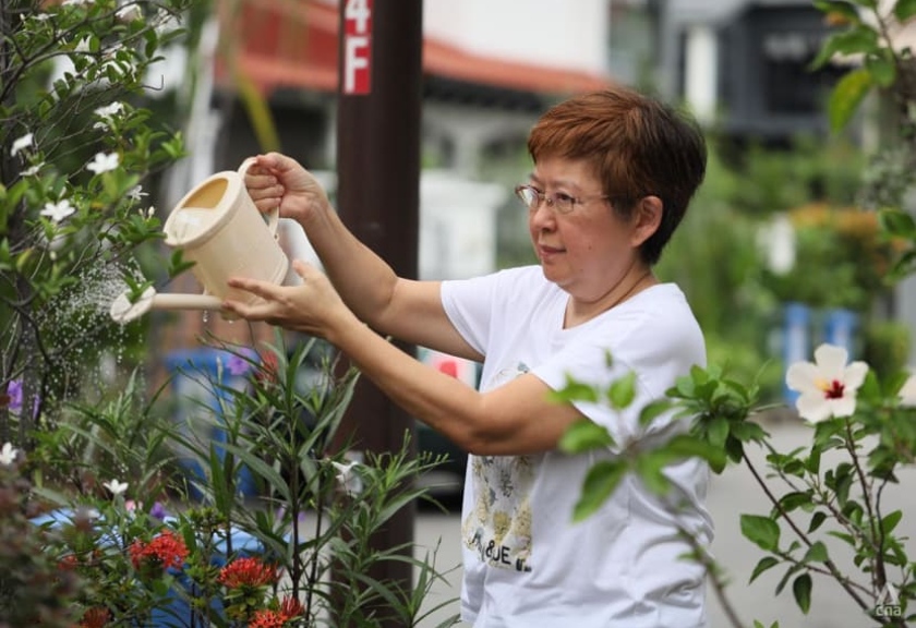 Cindy Tan, cipatakan ketahanan pangan keluarga lewat hobi berkebun(cnalifestyle.channelnewsasia.com/Vinvisual)