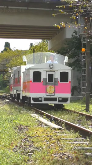 Kereta wisata di Jepang pakai bahan bakar bekas kuah kaldu ramen (Istimewa)