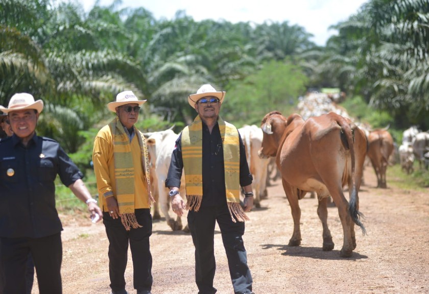 Menteri Pertanian, Syahrul Yasin Limpo (Dok. Kementan)