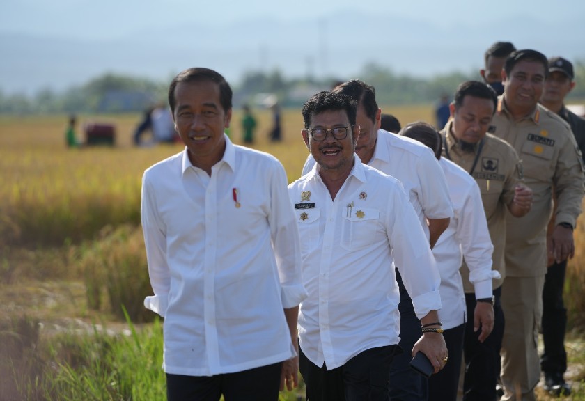 Kunjungi Maros, Jokowi Harap Surplus Padi Didistribusikan

